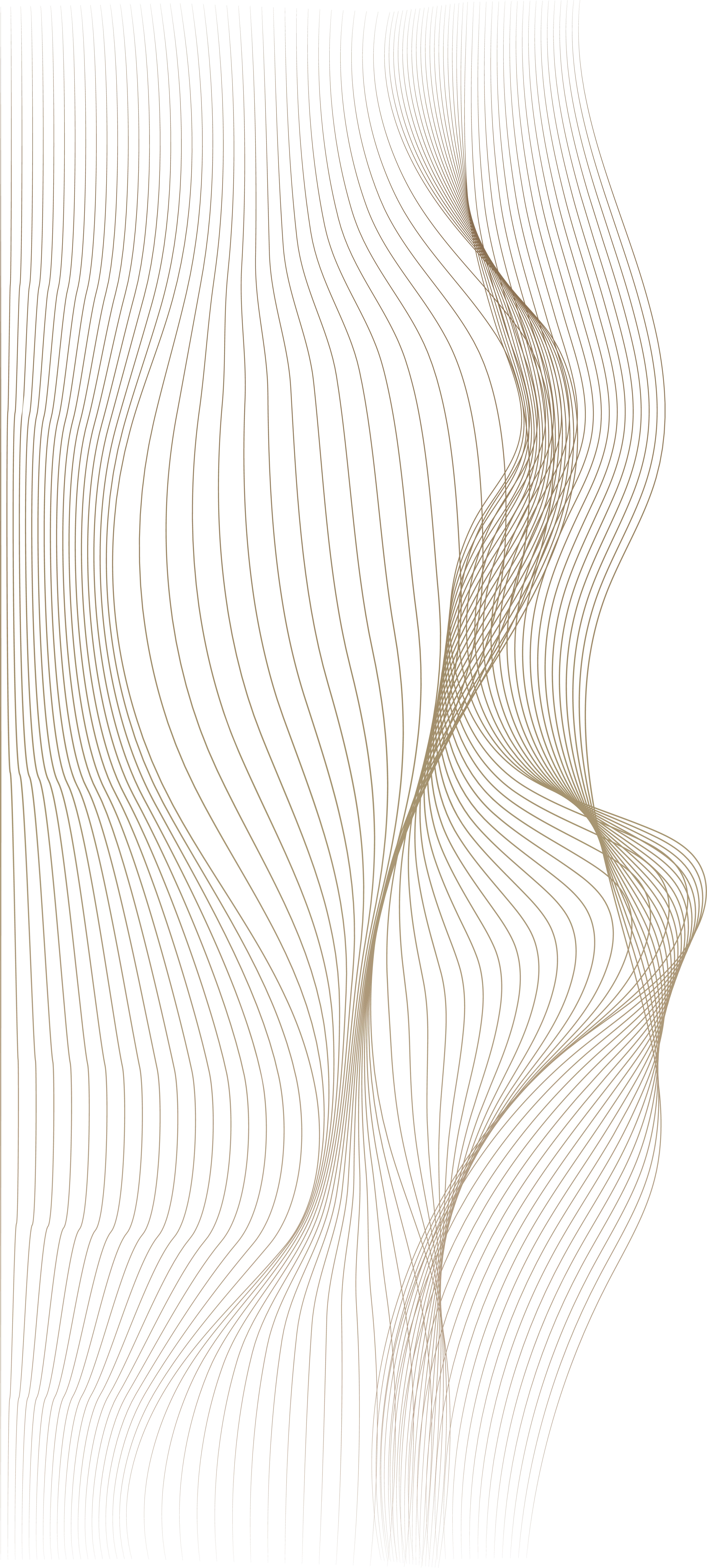 Decorative Pattern